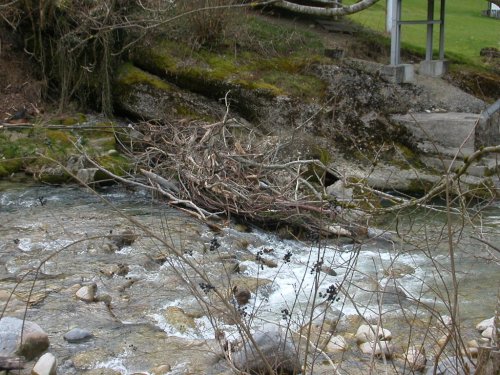 Nach der Schneeschmelze - Mrz